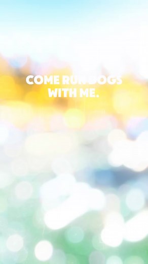 Follow along for our journey of training for the Midnight Run. #sleddogs #alaskanhusky #fyp | Chasing The Wolves | Facebook