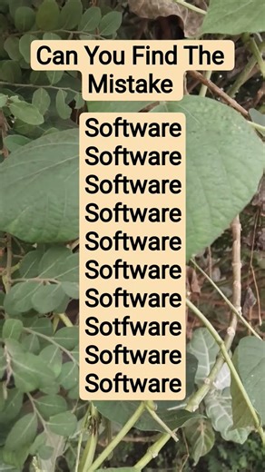 Can You Find The Mistake In Software Puzz #puzzle #challenge #find #shorts #america