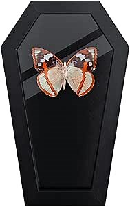 Butterfly Shadow Box with Top Felt Pinning Board, Insect Display Box,Insect Display Case,Butterfly Display, Display Cases for Collecting Butterfly and Bug,Insect Pinning Kit,Butterfly Box