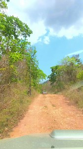 แก้ปัญหาลิงรบกวนเกษตรกรในหนองหญ้าปล้อง