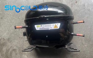 [Hot Item] Original New Fld165nama Rotary Compressor R600A Refrigerator Compressor Inverter 0-220V 60Hz