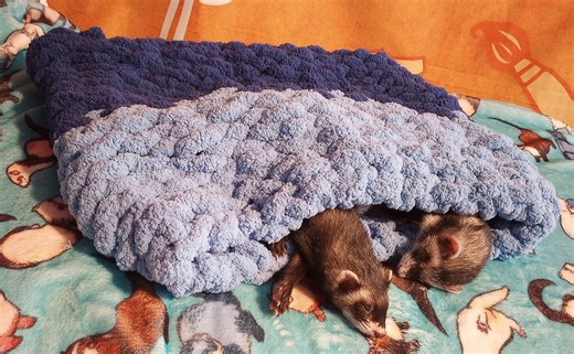 Hand Knitted Ferret Pocket, Chunky Yarn Sleeping Sack, Small Animal Burrow - Etsy