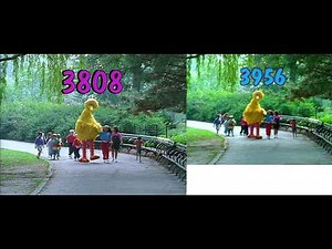 Sesame Street - Big Bird and Baby Bear End Up Playing Together
