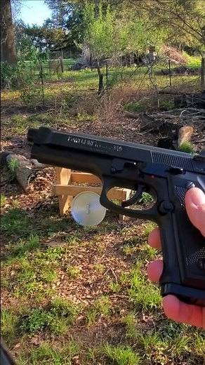 shooting aluminum pot lid with bb & pellet guns, day 1