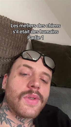 Les métiers humoristiques des chiens révélés