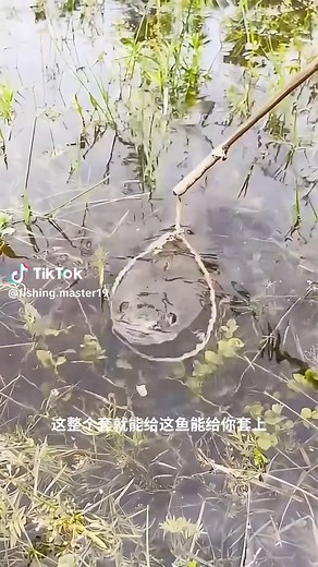 Fishing Techniques for Beginners: Top Tips and Tricks