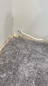 1.4M views · 2.4K reactions | TIPS #construction #tools #Drywall | Estella Simmon | Facebook