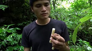 100K views · 3.2K reactions | Six months of survival in the tropical...