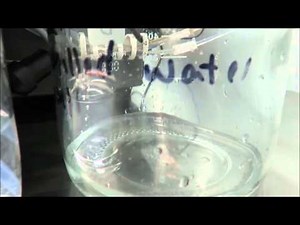 GE AKTA Prime Plus Protein Purification