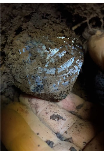 Unearthing a Massive Herkimer Diamond Quartz at The Hidden Gem Mine