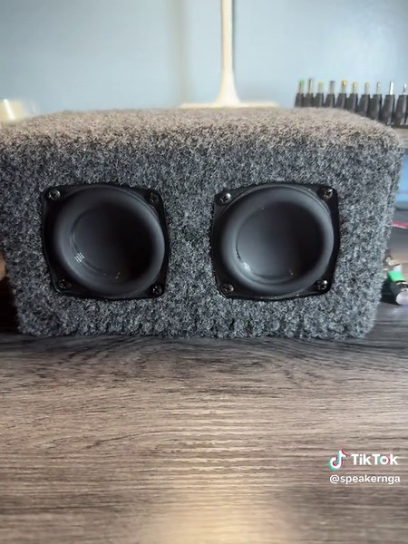 DIY Mini Subwoofer Build for Deep Bass