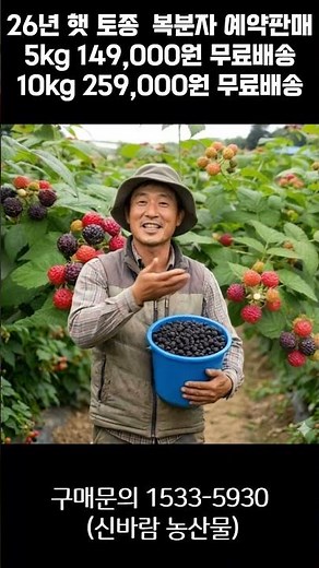 [신바람 농산물 협력농가 판매상품 - 26년 햇 토종 복분자 예약판매합니다] - 중고트랙터 경운기 관리기 스키로더 굴삭기 화물트럭 매매 직거래 장터 사이트 (관리기.com)