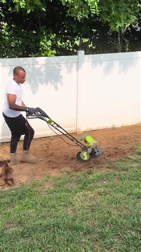 When your dog turns the house into a full parkour course 🐶😂 #FunnyDogs #DogComedy #PuppyHumor #DogOwners #DogLife