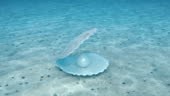 Pearl inside a seashell. Beautiful pearl in the shell on the seabed....