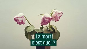 1.3M views · 869 reactions | Après plus de 10 ans de bataille juridique pour le maintenir en vie, Vincent Lambert est mort aujourd'hui à Reims. Une affaire qui a mis la question de la fin de vie au cœur du débat public et qui a amené chacun d'entre nous à s'interroger sur ce que c'est que la mort. | France Culture | Facebook