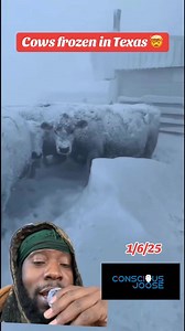 27K views · 454 reactions | The Cold Weather Is A Horror Movie. Even The Cows Look Frozen. | Mr. Truth Teller | Facebook