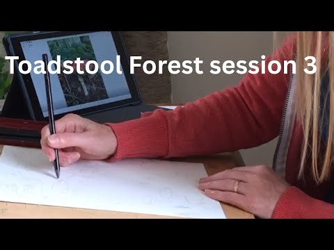 Drawing session 3, Toadstool Forest art 