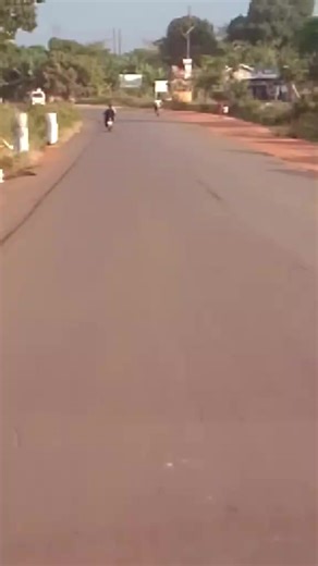 THE LION OF FREEDOM 256 (@the.of.freedom.256)’s videos with original sound - 𝐃𝐯𝐣 𝐁𝐫𝐢𝐳𝐲 𝐍𝐨𝐫𝐦𝐳