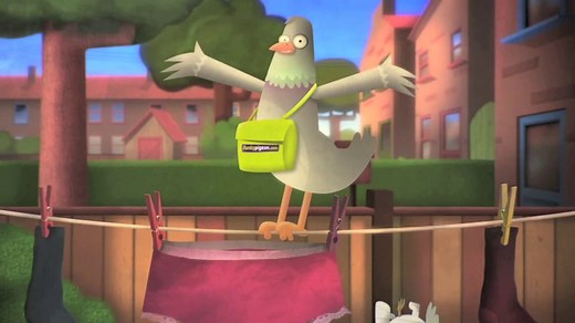 Funky pigeon 1