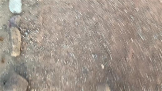 Joe Ben Sanders on Instagram: "Monty Python’s Funny Walk? or BUILDING THE WORLDS LARGEST: Testing My Tread Mill Today. Joe Ben Sanders 2022I set it on low speed walking so you could see my feet. I can’t break out into a trot or gallop yet without stripping the tread mill belt and gears and infrequently, going airborne. Folks say I appear to levitate at times. God bless all the fast walkers and thinkers."