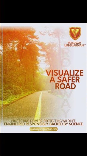 Innovation for Prevention | Stop Problems Before They Happen Safer | Roadway LIFEGUARDIAN