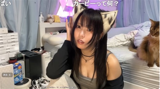 【ニコ生】美人生主・あかねこ　肉イベント首位　1/12まで : ニコ生・ユーチューブライブまとめ