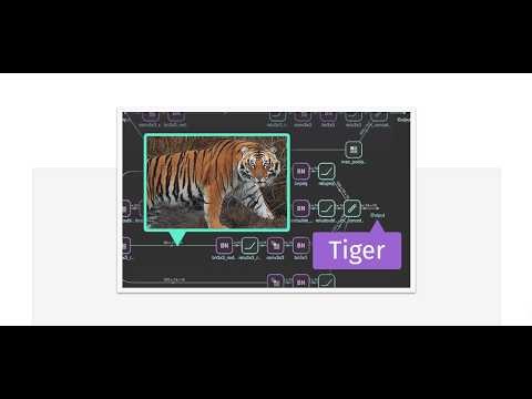 Build Custom Neural Networks