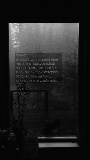 Exploring a Serene Backyard Scene Through a Window