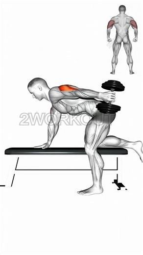 14K views · 301 reactions | Triceps Day Workout Routine #2workout #fitness #workout #gym #motivation #fitlife #training #exercise #health #bodybuilding #fitfam #cardio #strength #wellness #healthy #fitnessmotivation #fitgoals #getfit #fitinspiration #workoutmotivation #fitnessjourney #gymlife #foryoupage #explorepage #trendingfitness #reelsoffacebook #facebookfitness #fitcontent #discoverfitness | 2workout | Facebook