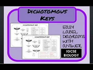 Dichotomous Keys in 10 Minutes | IGCSE Biology