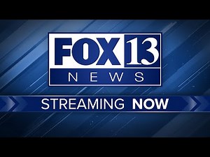 FOX 13 News Live - 24/7