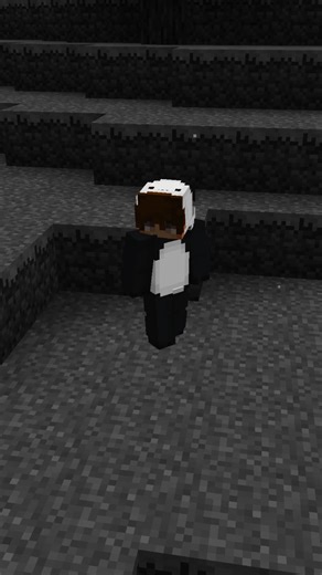 Pandeh on Instagram: "this mod sends you to the shadow realm #minecraft #minecrafthorror #minecraftmods Youtube: Pandeh"