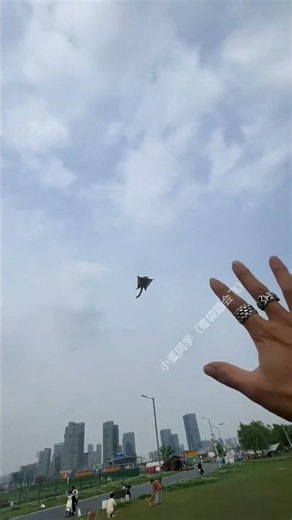 Sugar glider's flying training #Pet #SugarGlider