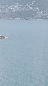 Hotel con tercera noche gratis 😀 super vista al mar ⛵ puesta del 😎 Sol desde tu balcón, promoción solo hoy , 7442380169 sr patricio c. Atención personalizada y de confianza . | Acapulco PLAYA Hoteles
