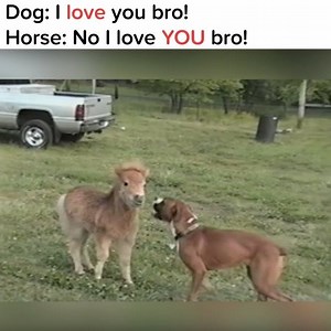 856K views · 14K shares | Try the Waggle app today and see what all...