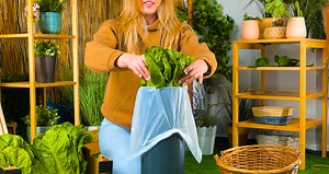 2.5K views | Strategies For Ensuring Your Plants Stay Safe And Healthy!!  | Chris & Emily | Facebook