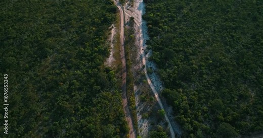 Top-down drone reveal of Cerrado dry river channel restoration with sandy bed flanked by dense native savanna vegetation mosaic, dirt track parallel, plateau landscape.
