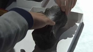 Move over T-Rex, a new dinosaur is discovered