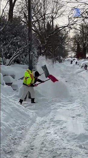 Toronto cleans up after 46 cm of snow buries the city