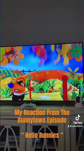 My Reaction From The Bunnytown Episode “ Hello Bunnies “