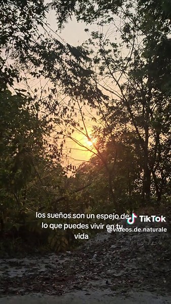 Los sueños son un espejo: qué significan y cómo interpretarlos