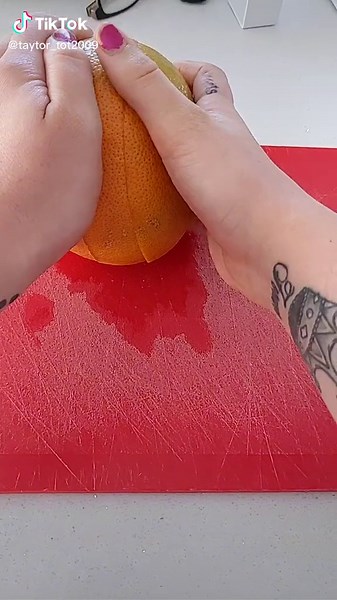 Taylor Chelseaa Daws on TikTok