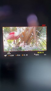 15K views · 401 reactions | Back filming and test driving a new lens. Some behind the scenes. | Harry Collins Photography | Facebook