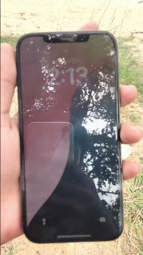 លក់12bor Maxតម្លៃ310$