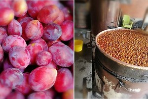 Ćurčići prave premijum rakiju: Za proizvođače ovog pića izdvojeno 15,5 miliona dinara podsticaja