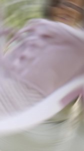 629 reactions · 27 shares | #1 Orthotic Shoes - Up To 25% Off! ✅ Best Design For Wide Feet. ✅ Best Comfort & Support. ✅ Free Shipping & Returns. ✅ Recommended Shoes by Podiatrists ✅ Thousands of 5-Star Reviews. | Orthofeet | Facebook