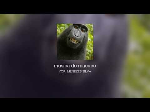 musica do macaco