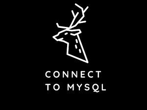 Connect to MySQL and create a database with the command line