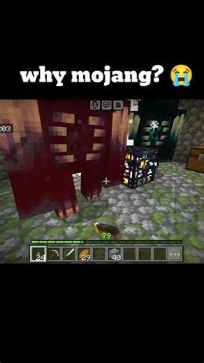 NEVER trust this Minecraft Spawner! 😭😭😭 #minecraft