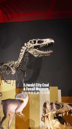 5 Things to Do in Iwaki City